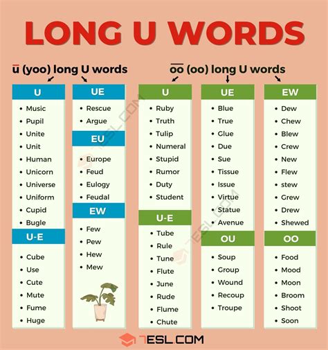 long u sound words.
